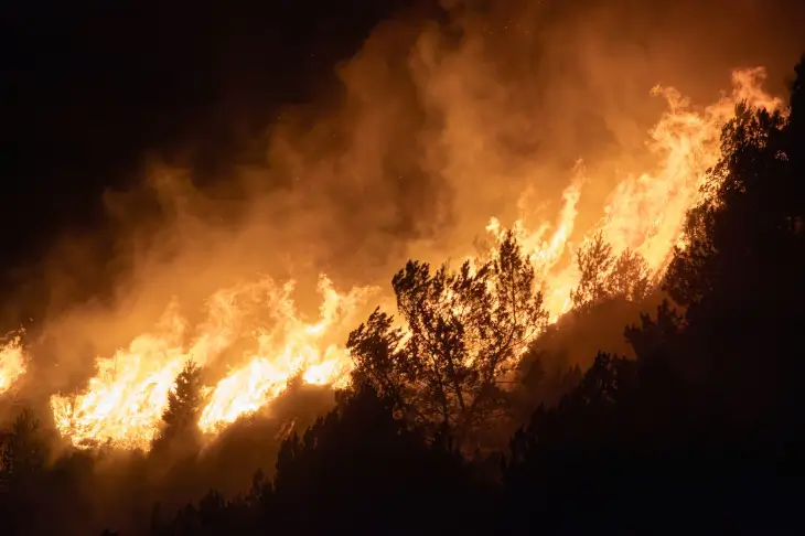 Incendie de végétation à La Réunion avec d’importantes flammes et fumées